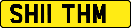 SH11THM