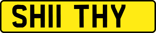 SH11THY