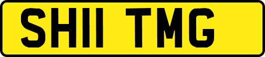 SH11TMG