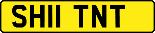 SH11TNT