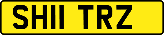 SH11TRZ