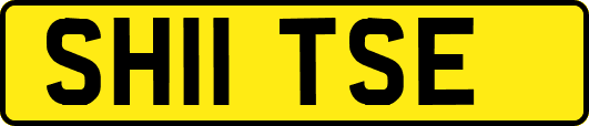SH11TSE