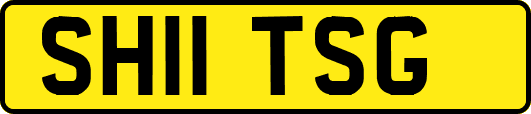 SH11TSG