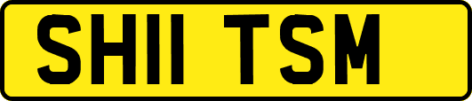 SH11TSM