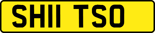 SH11TSO