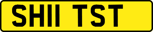 SH11TST