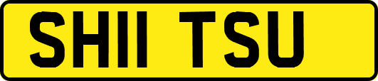 SH11TSU