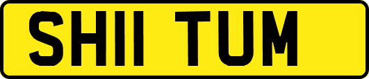 SH11TUM