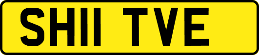 SH11TVE