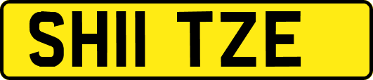 SH11TZE