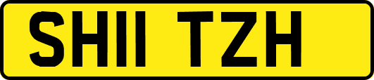 SH11TZH