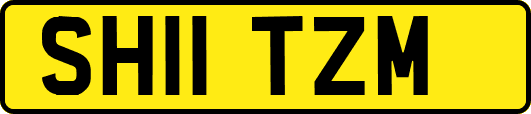 SH11TZM