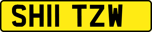 SH11TZW