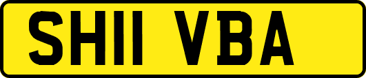 SH11VBA