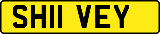 SH11VEY