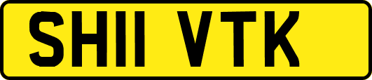 SH11VTK