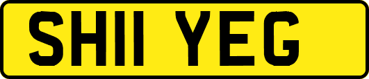 SH11YEG