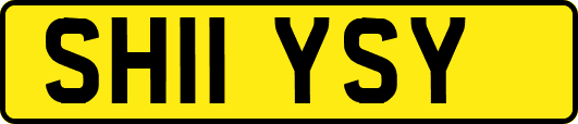 SH11YSY