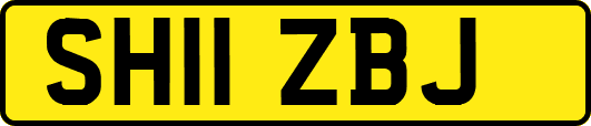 SH11ZBJ