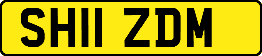 SH11ZDM