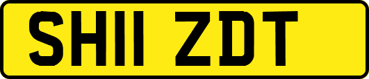 SH11ZDT