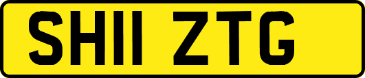 SH11ZTG