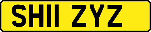 SH11ZYZ