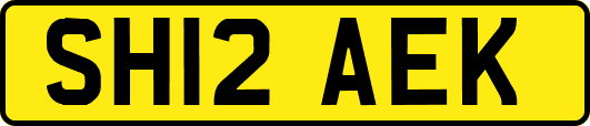 SH12AEK