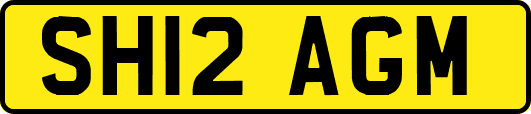 SH12AGM