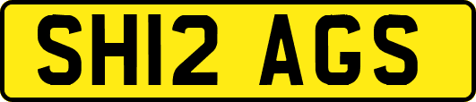 SH12AGS
