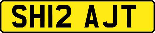 SH12AJT
