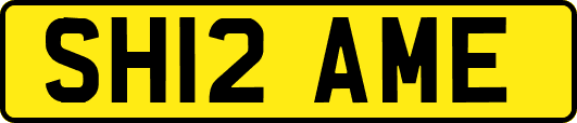 SH12AME