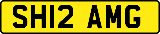 SH12AMG