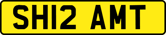 SH12AMT