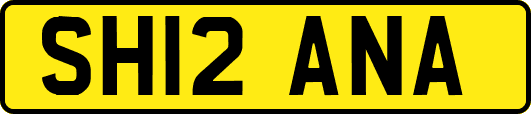 SH12ANA