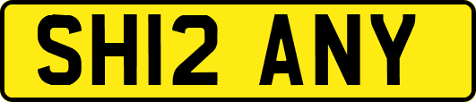 SH12ANY