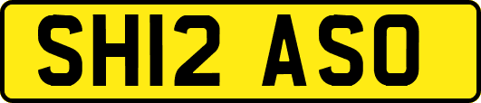 SH12ASO