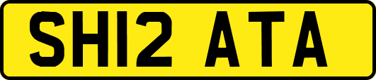 SH12ATA