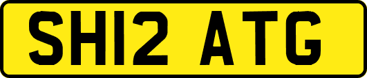 SH12ATG