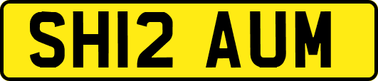 SH12AUM