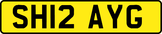 SH12AYG