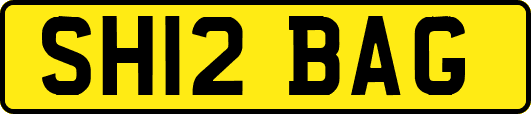 SH12BAG