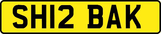 SH12BAK