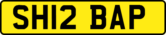 SH12BAP
