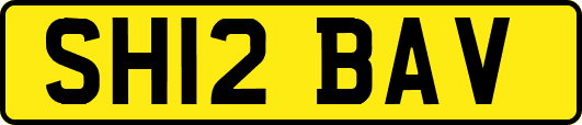 SH12BAV
