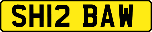 SH12BAW