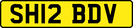 SH12BDV