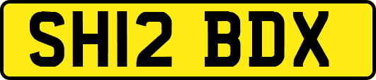 SH12BDX