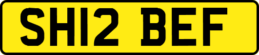 SH12BEF