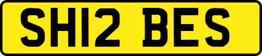SH12BES